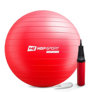 Gymnastikball 65cm mit Luftpumpe - Rot